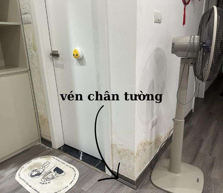 vén chân tường